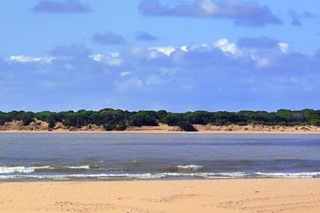 Sanlucar-centro Apartment
